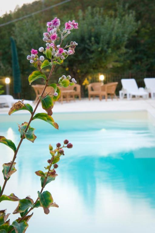 Pensjonat Agriturismo Ca' Montioni Mercatello sul Metauro Zewnętrze zdjęcie
