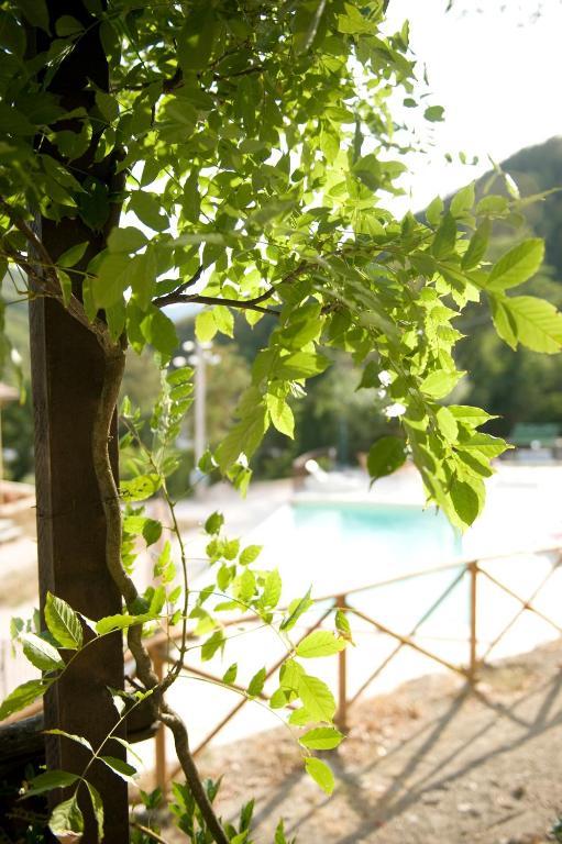 Pensjonat Agriturismo Ca' Montioni Mercatello sul Metauro Pokój zdjęcie